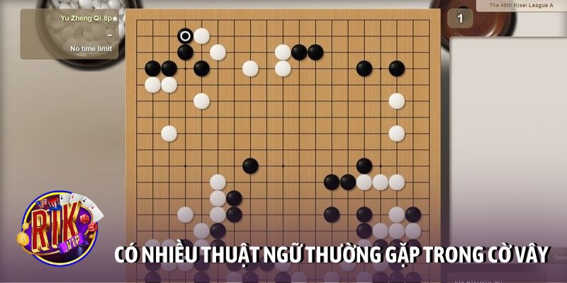 Có nhiều thuật ngữ thường gặp trong trò chơi cờ vây