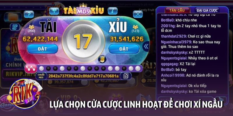 Lựa chọn cửa cược linh hoạt để chơi xí ngầu dễ trúng