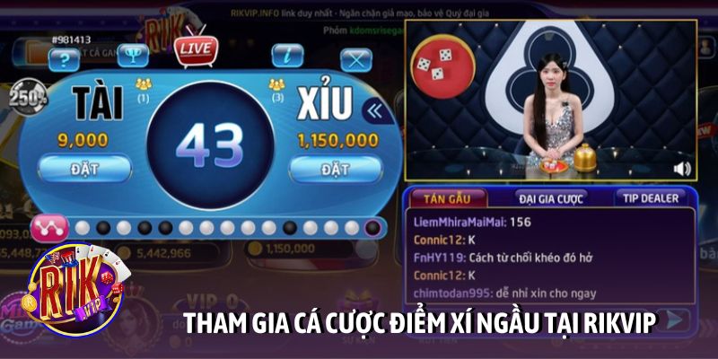 Tham gia cá cược điểm xí ngầu tại cổng game Rikvip